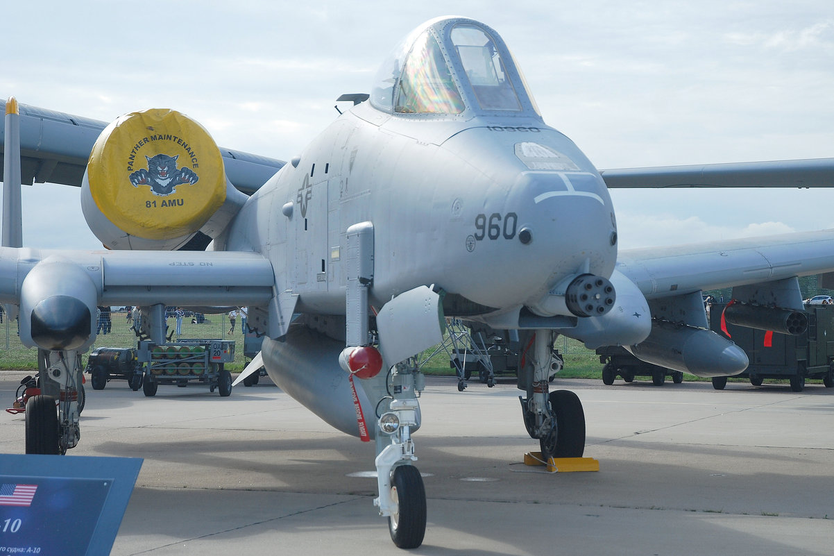 A 10A Thunderbolt - sergej-smv 