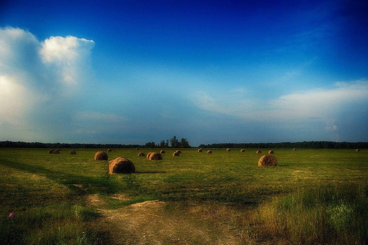 *** - Александр 