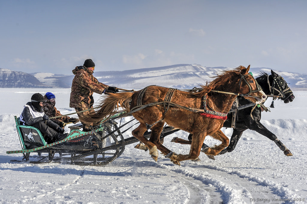 Новоселово - 2015 - Sergey Yatmasov