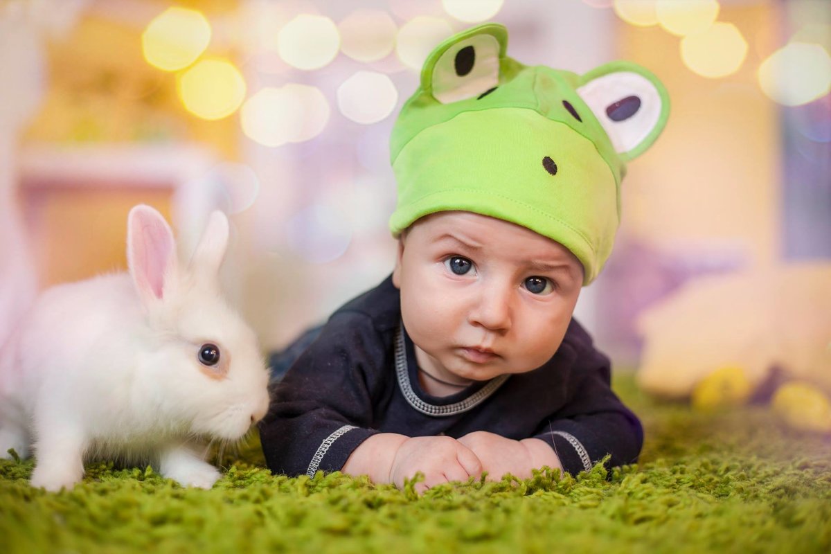 малыш с кроликом - Оля Грушевская