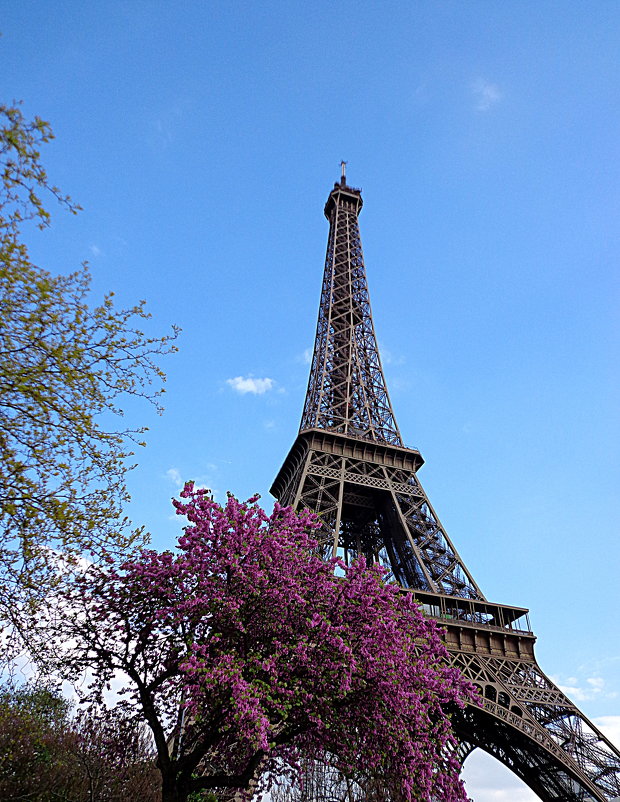 Весна в Париже - svetlanavoskresenskaia 