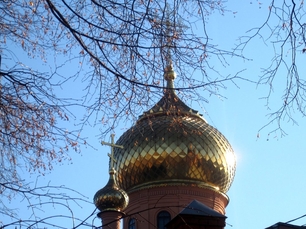 Золотые купола церкви - Елена Семигина