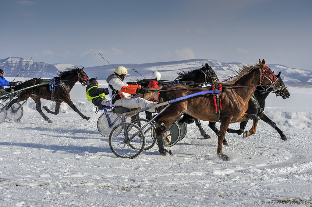 Новоселово - 2015 - Sergey Yatmasov