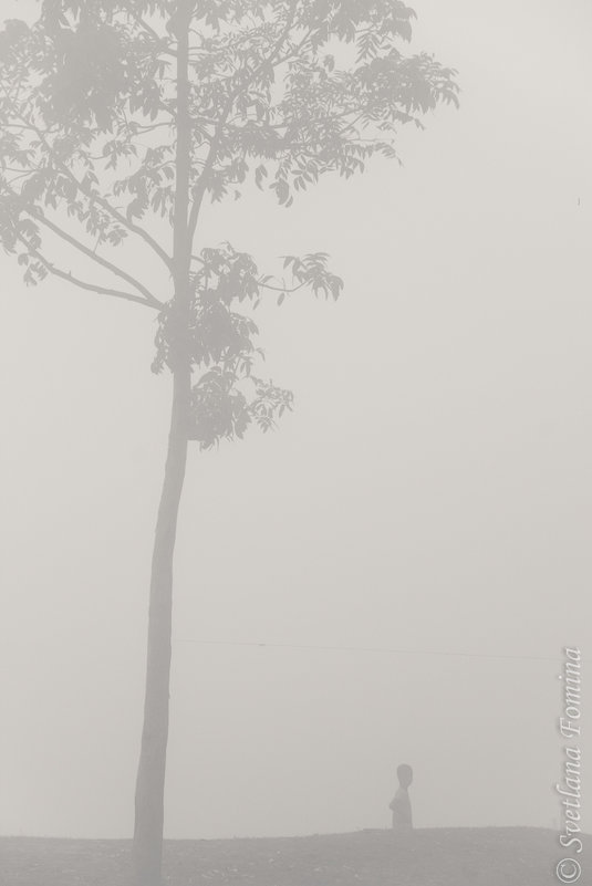 Потерявшиеся в тумане - Светлана Фомина