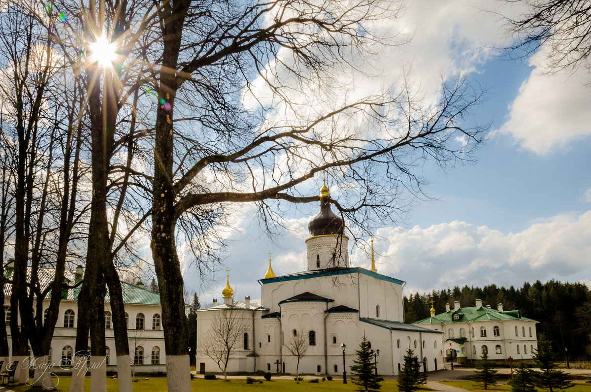 Спасо-Елизаровксий монастырь - Майя Афзаал