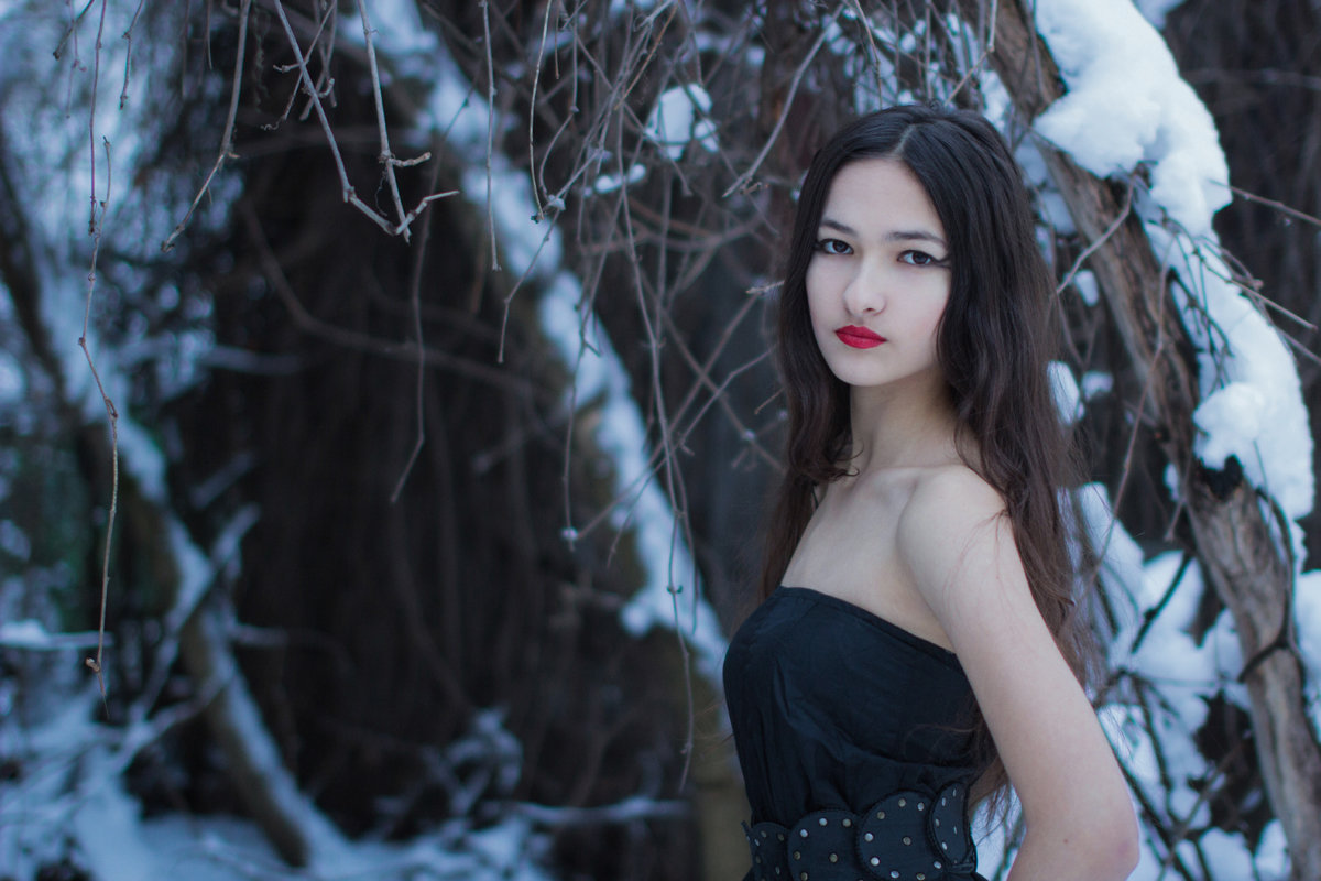 Зимняя краса - Аида Абрегова