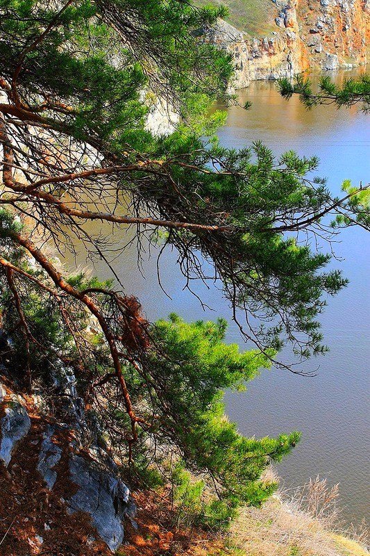 Уральское лето - Галина Стрельченя