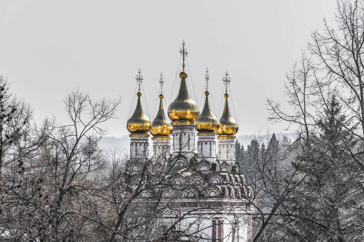 золотые купола собора - Svetlana AS