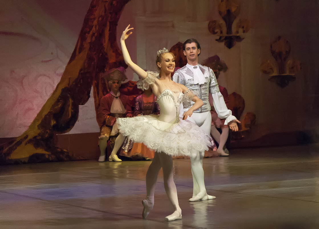 Сцена из балета "Спящая Красавица" - Владимир Максимов