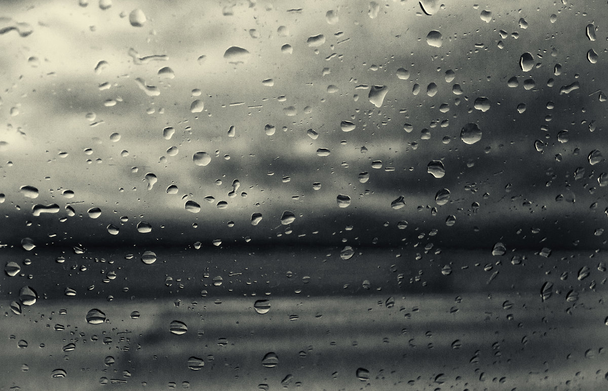 Дождь в дорогу - добрая примета - Виталий Павлов