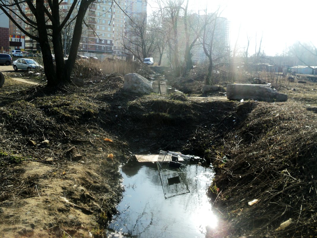 Всё, что осталось от речки Люберки в Люберецком районе (Котельники) 12 апреля 2015 год - Ольга Кривых