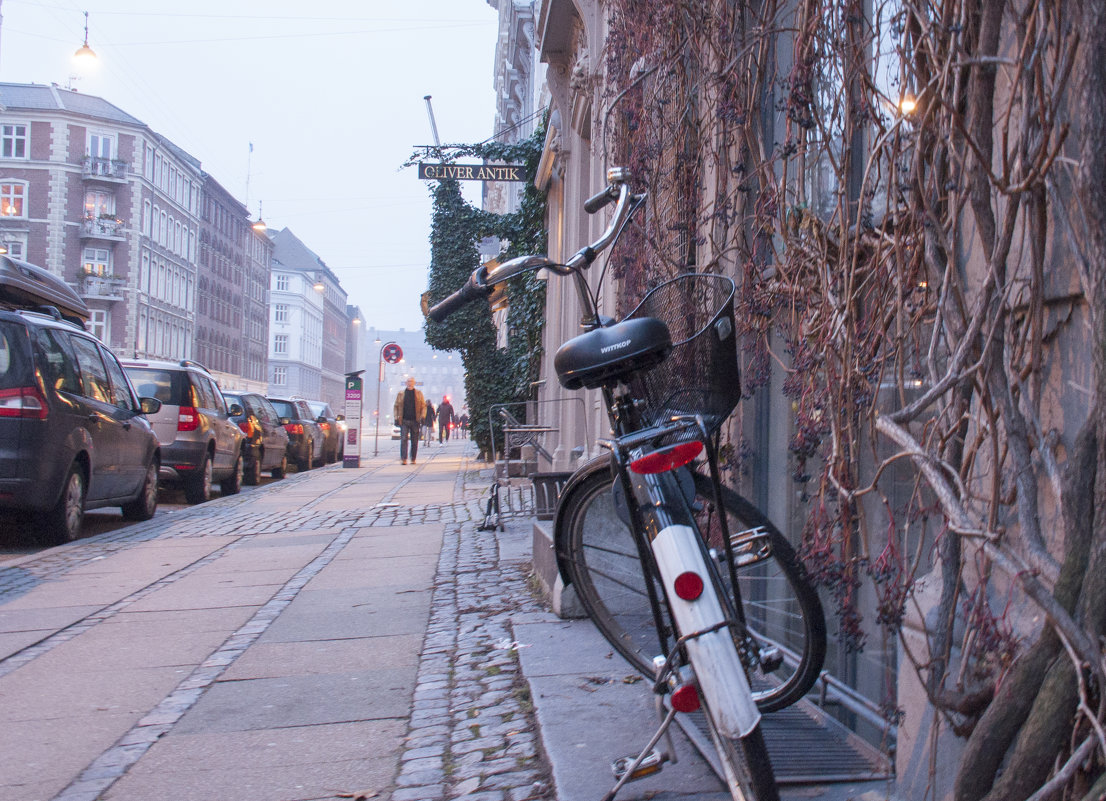 На улицах Копенгагена - Андрей Крючков