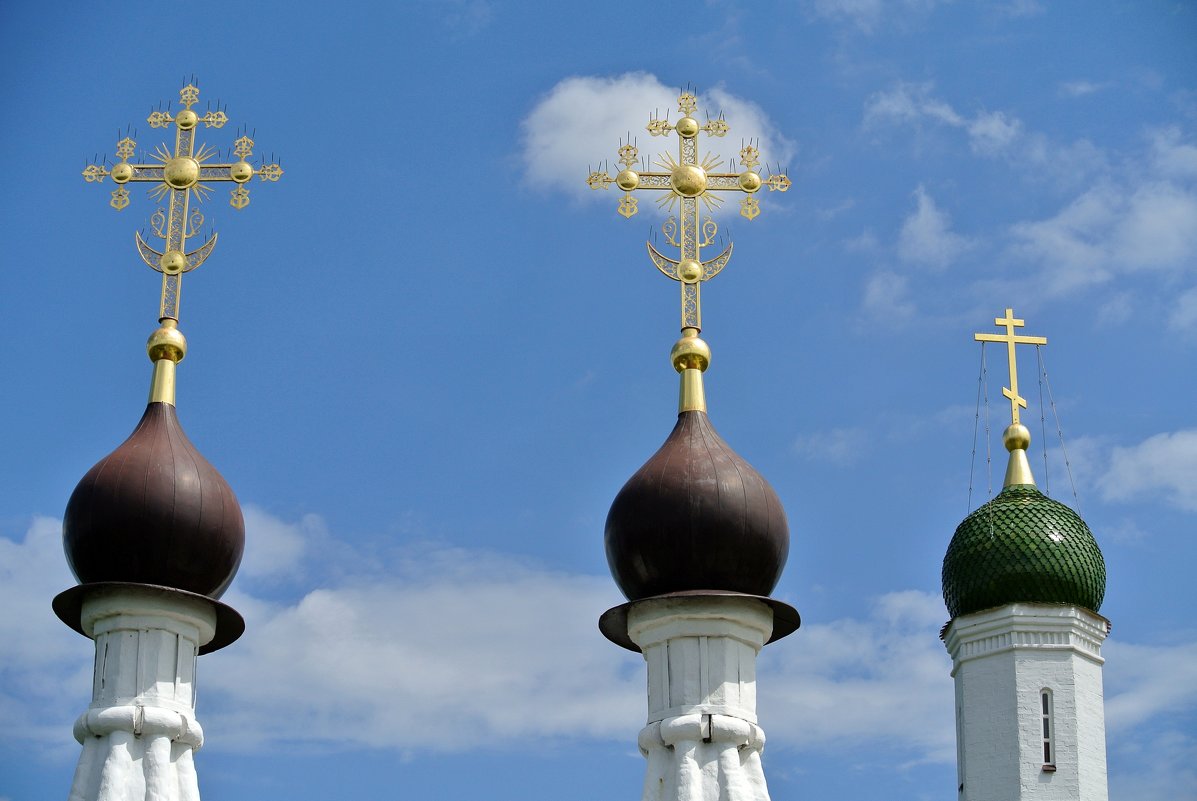 Белые церкви, седые кресты - Лариса Вишневская