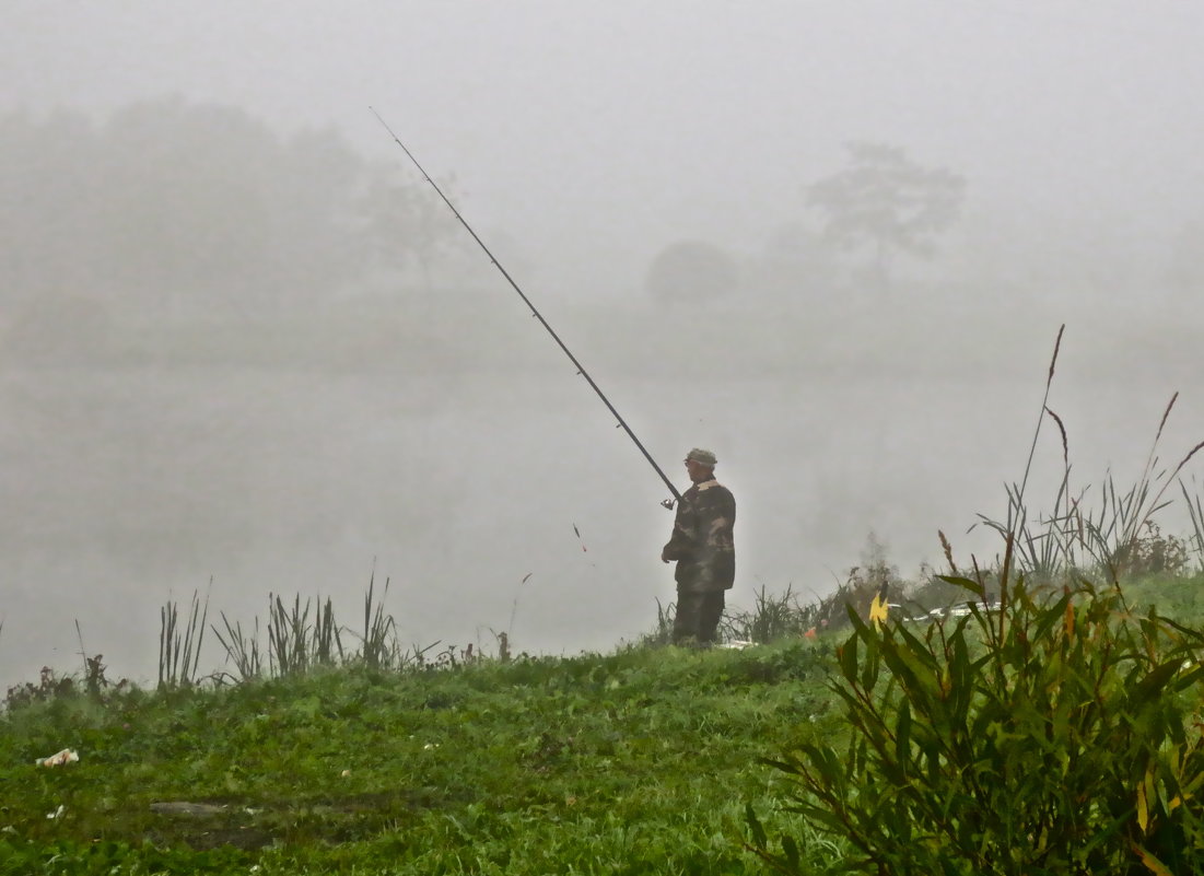 рыбалка туманным утром - Елена 