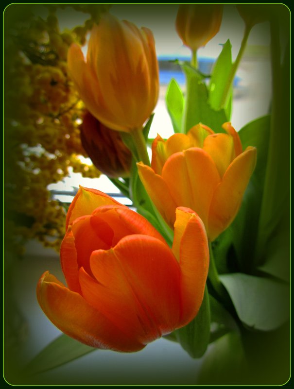 На окне Весна! - Сергей Карачин