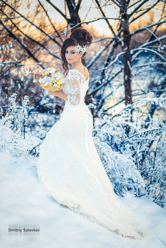 Зимняя невеста - Дмитрий Соловков