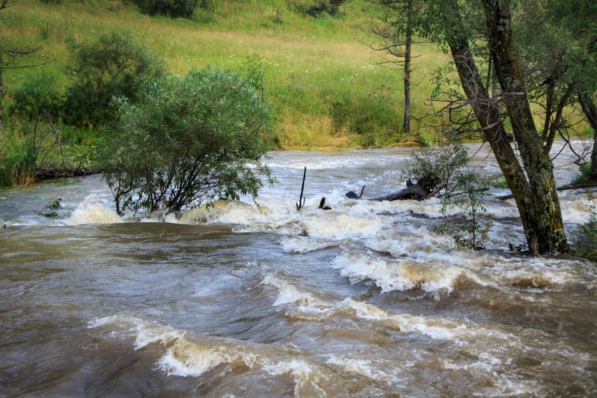 поток дождевых вод - Виктор Ковчин
