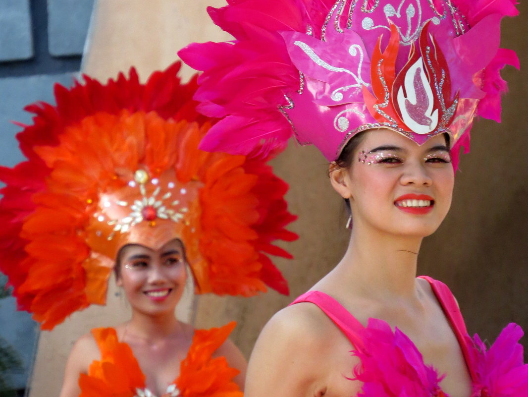 Вьетнамский карнавал - Маргарита 