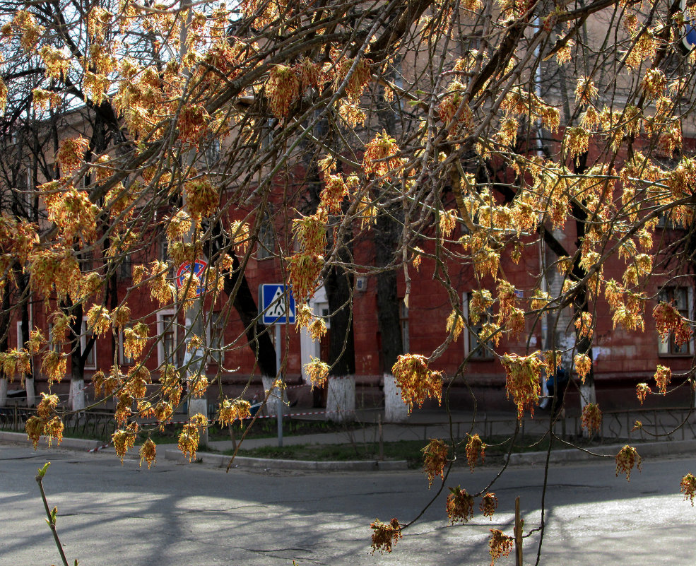 *** - Валентина Береснева