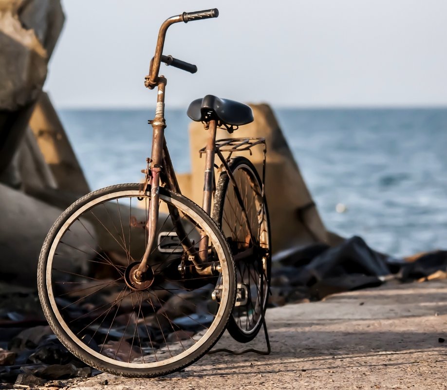 bike oceanfront - Dmitry Ozersky