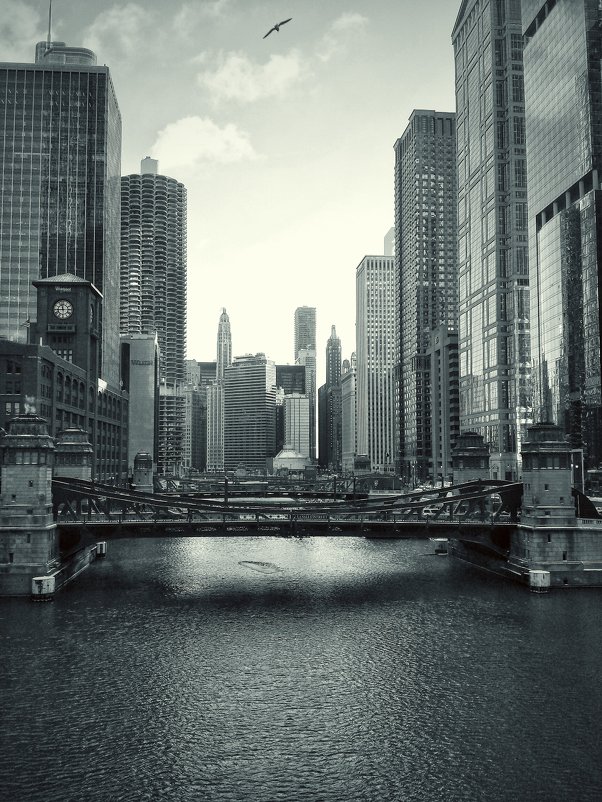Метро -Путешествие по Чикаго -3 - Gene Brumer