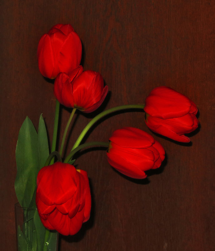 Время тюльпанов - Наталья (D.Nat@lia)
