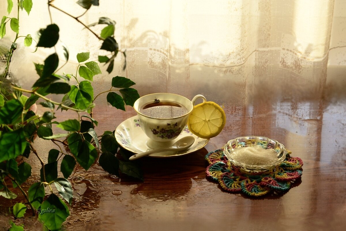 Волшебный чай с лимонным солнышком.... - galina tihonova