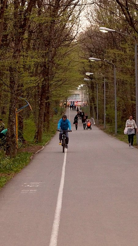 Дорога... - Анна Семенченко