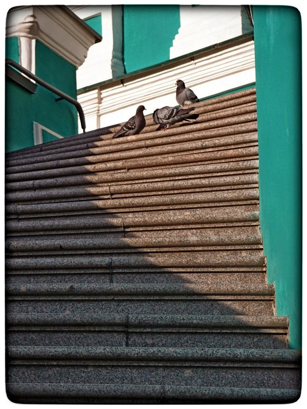 лестница к любви и голубям - Natalia Mihailova