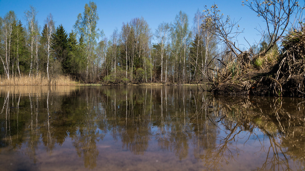 *** - Олег Козлов