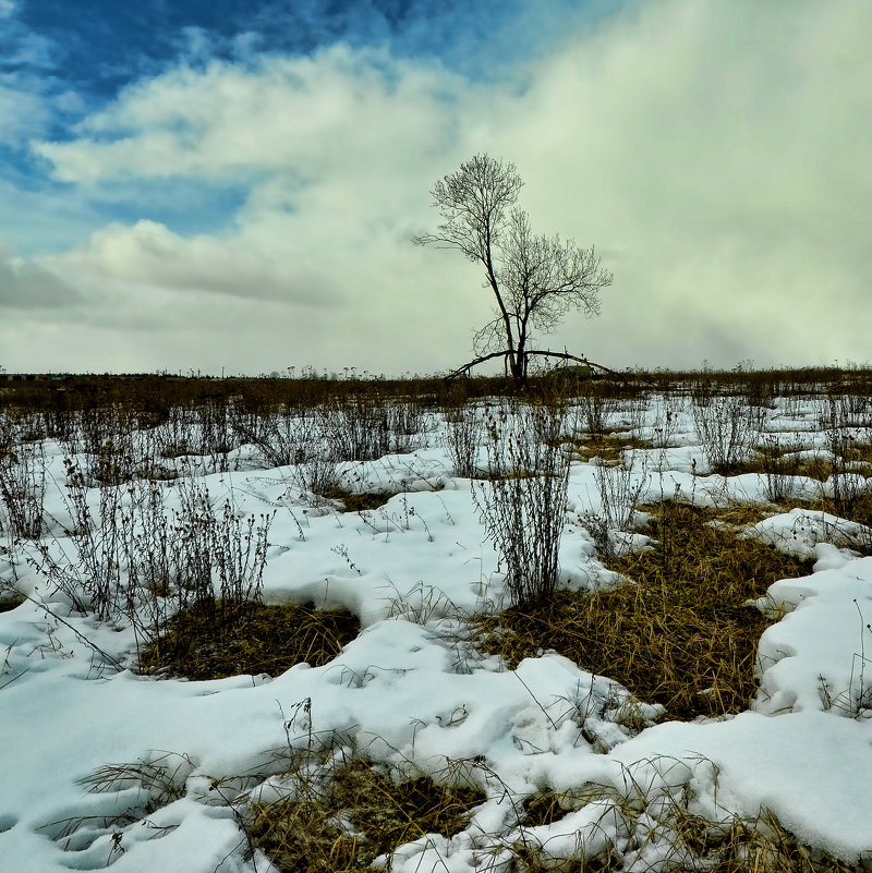 *** - Николай Емелин