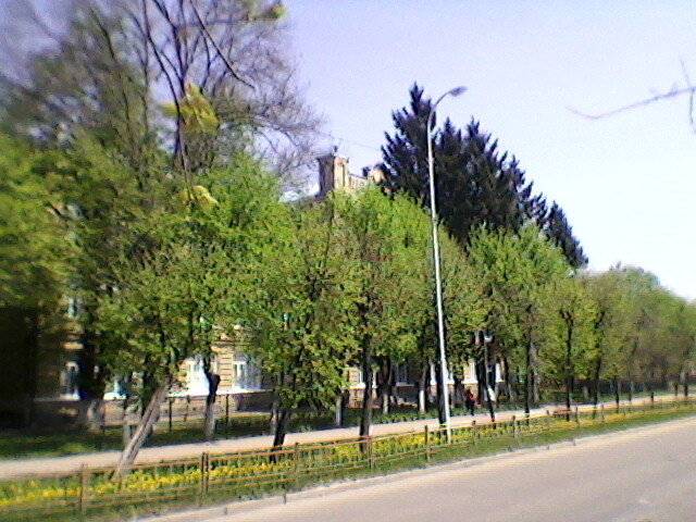 В городе весна! - Миша Любчик