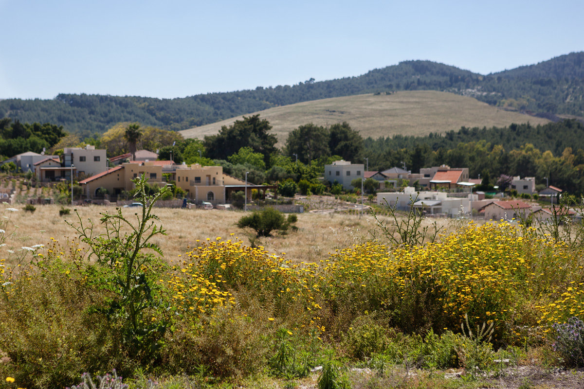 Вид с горы Меддиго - Aharon Gershon