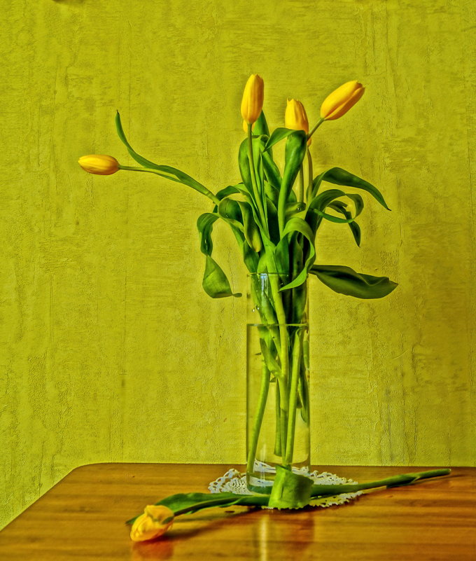Жёлтые тюльпаны - Ирина ***