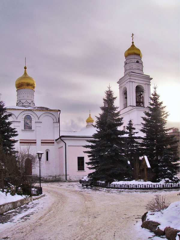 Храм Рождества Пресвятой Богородицы в Старом Симонове - Денис Масленников
