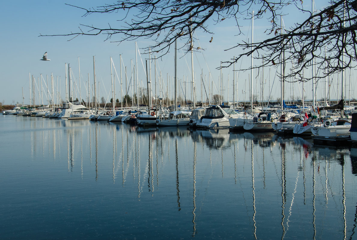 on the lake - Olga S