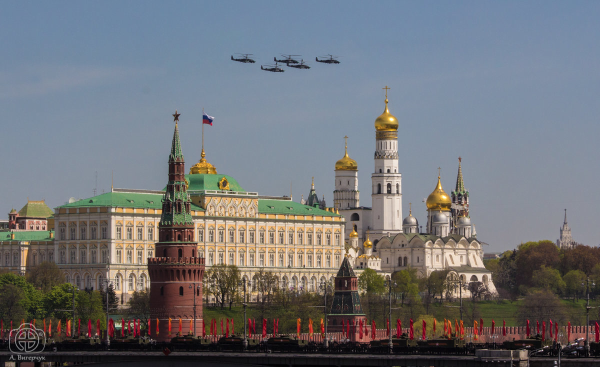 Аллигаторы над кремлём - Андрей Вигерчук