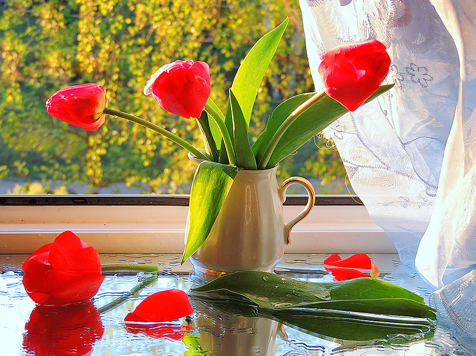 Тюльпаны майским ранним утром на моем окне - Павлова Татьяна Павлова