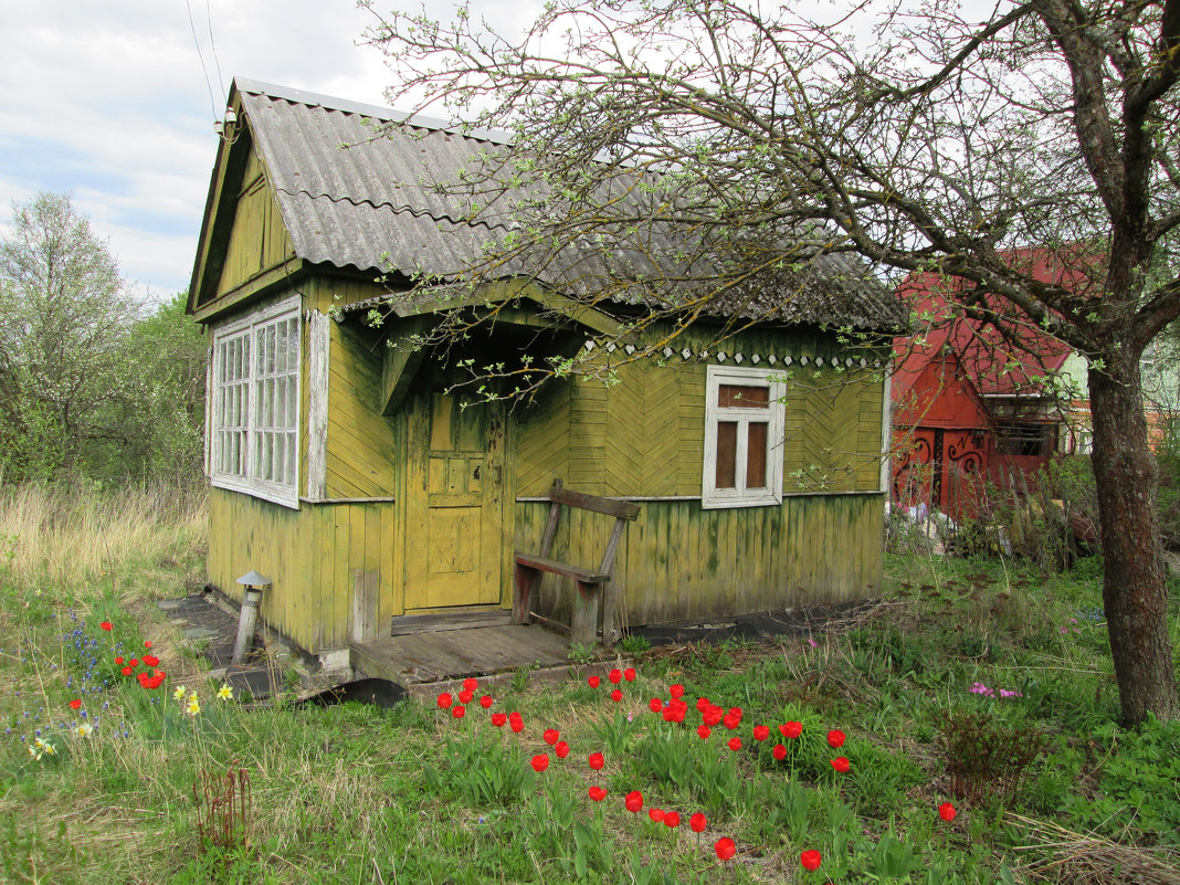 *** - Валентина Береснева