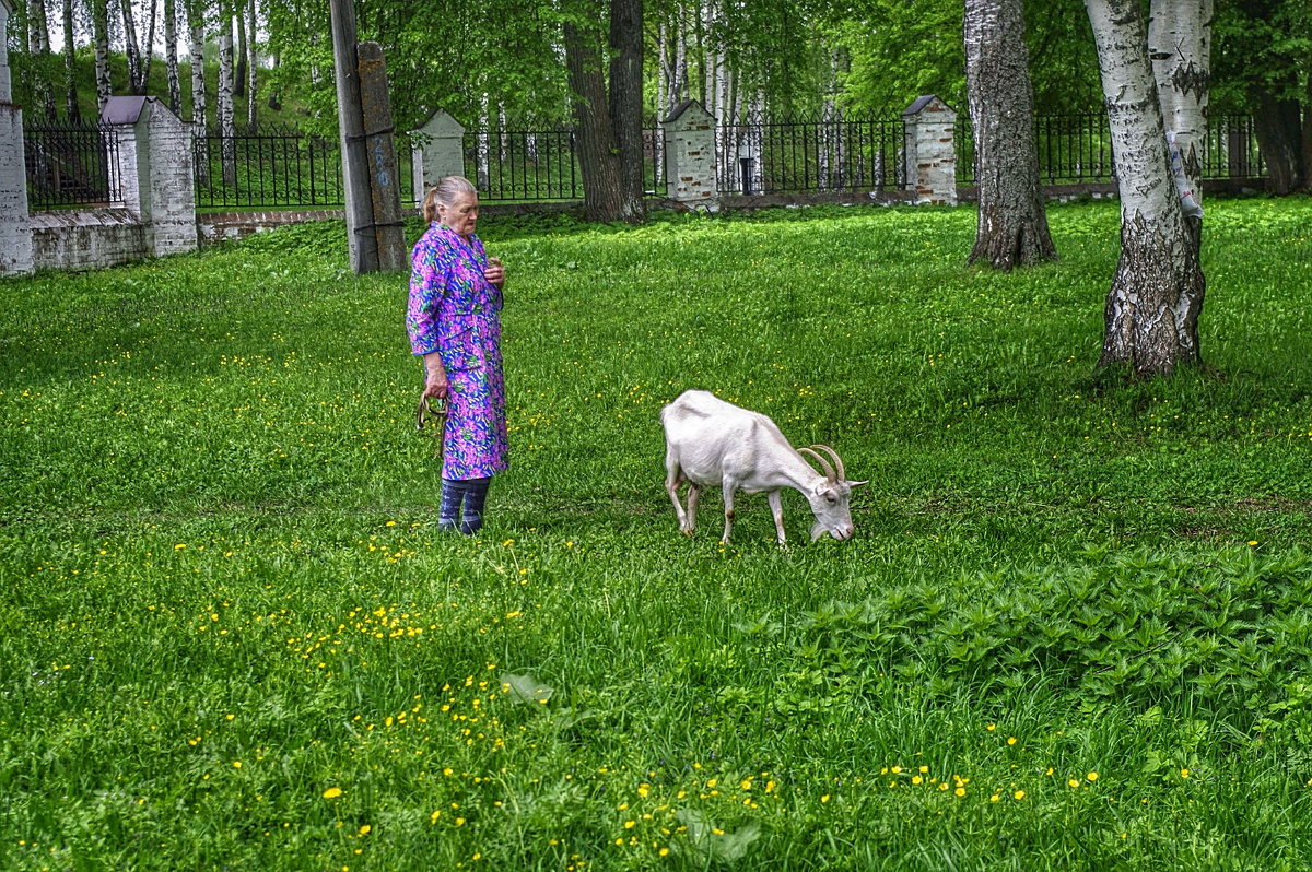 бабушка и коза - Пётр Сидорович Иванов