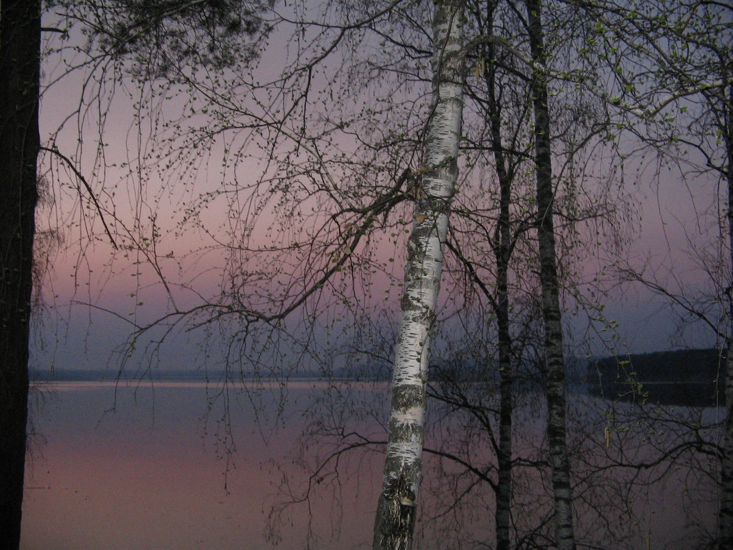 Городское Озеро - Laetitia 