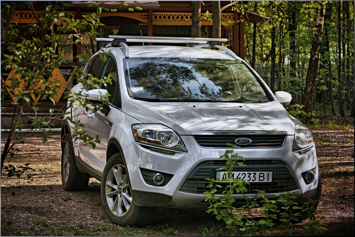 Ford Kuga под тенью деревьев - Олег Каплун
