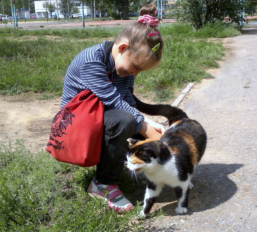 Расскажи мне кошка... - Татьяна ***