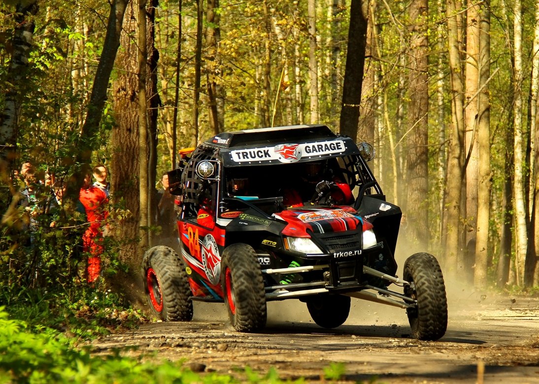 Rally Picnic'15 - Vladimir Chugay