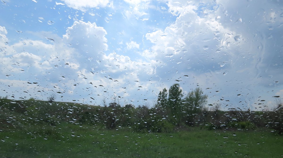 Дождь в мае - Natali 