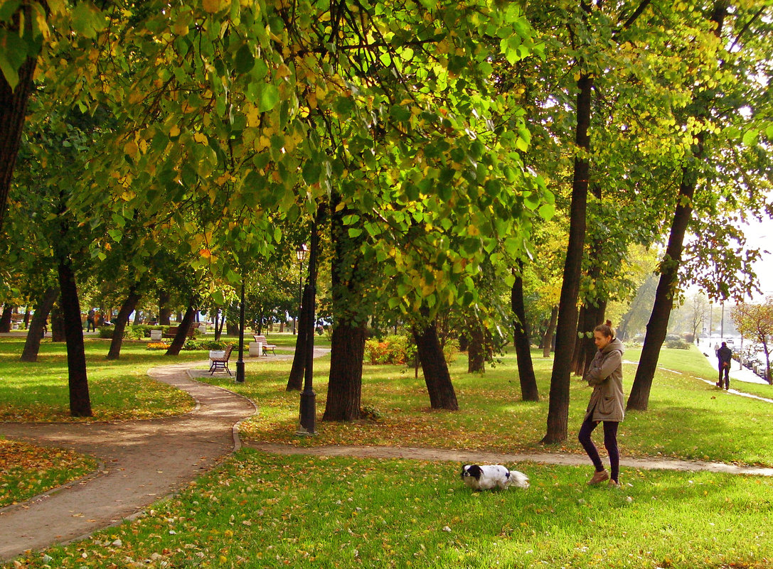 Прогулка в парке - Денис Масленников