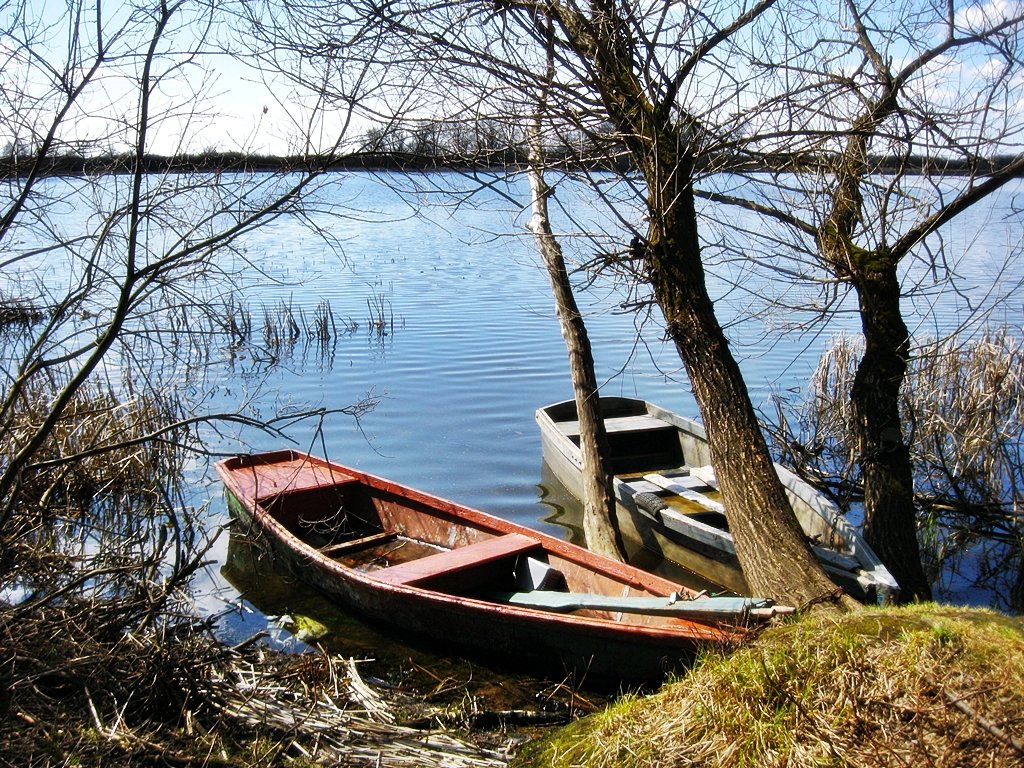 У весеннего озера... - Лена L.