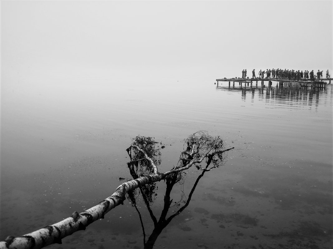 В тумане. - Alexander Antonov