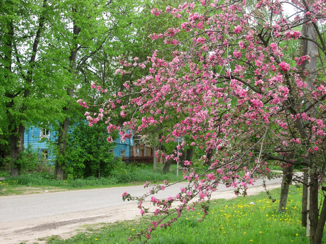 На старой улочке. - Михаил Попов