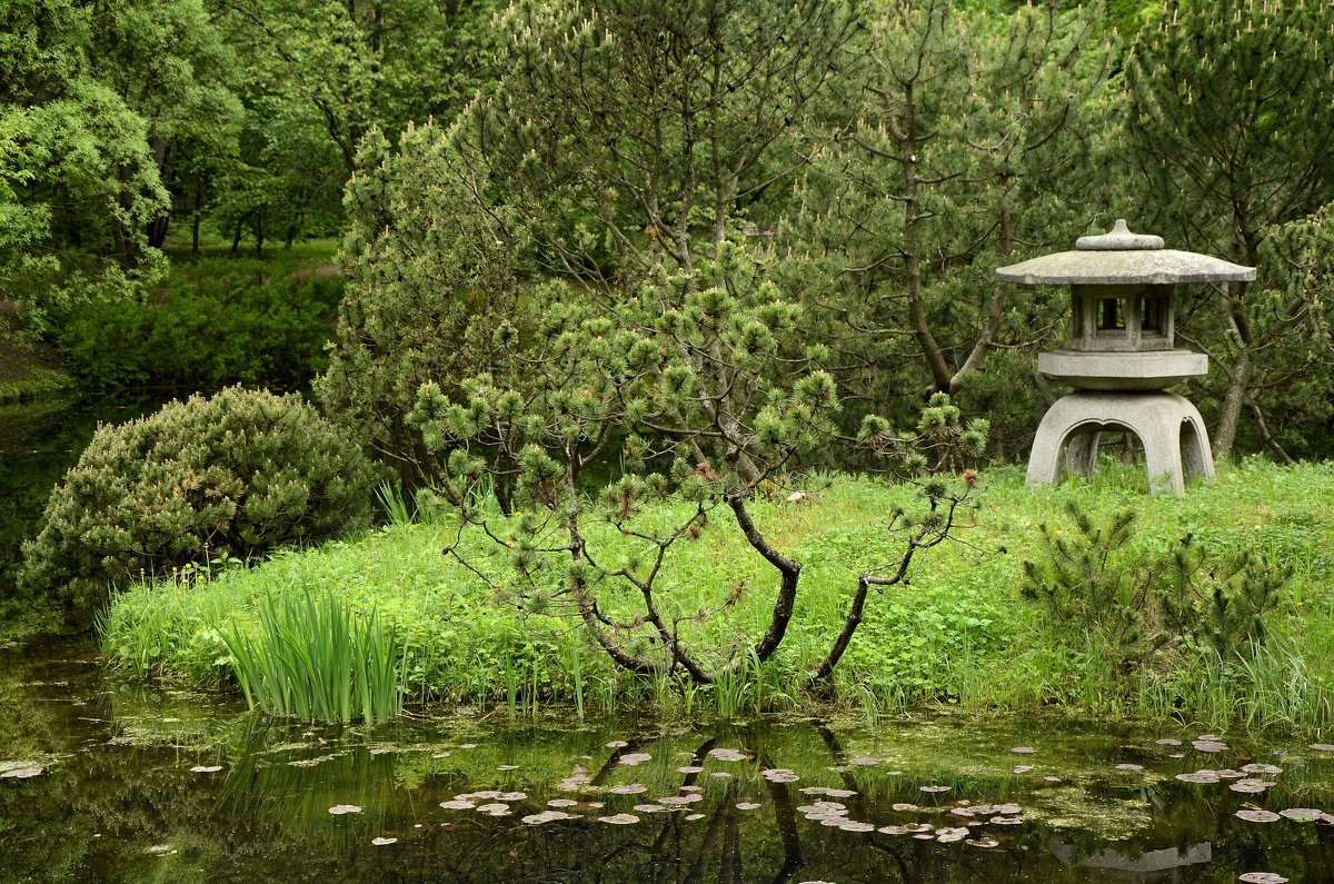 В Японском саду - Ирина Н